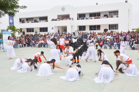 MAANA CULTURAL 7382