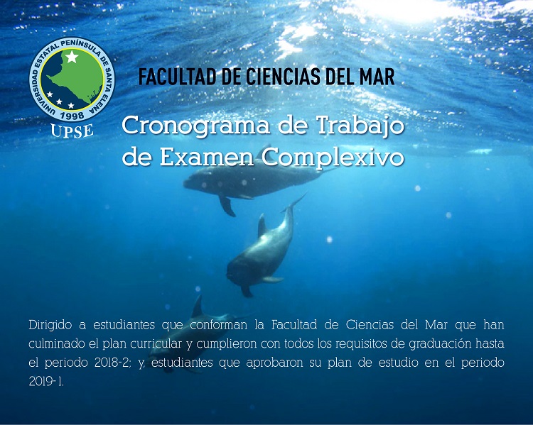 RS EXA C MAR Mesa de trabajo 1 copia