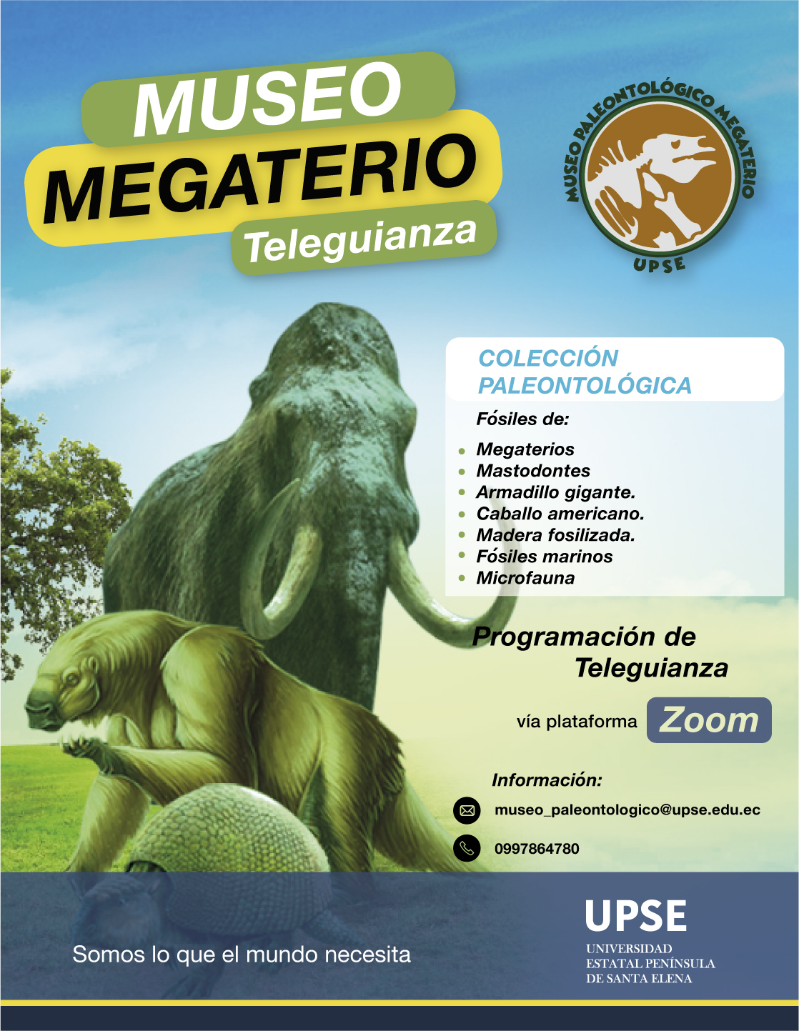 MEGATERIO teleguianza ok