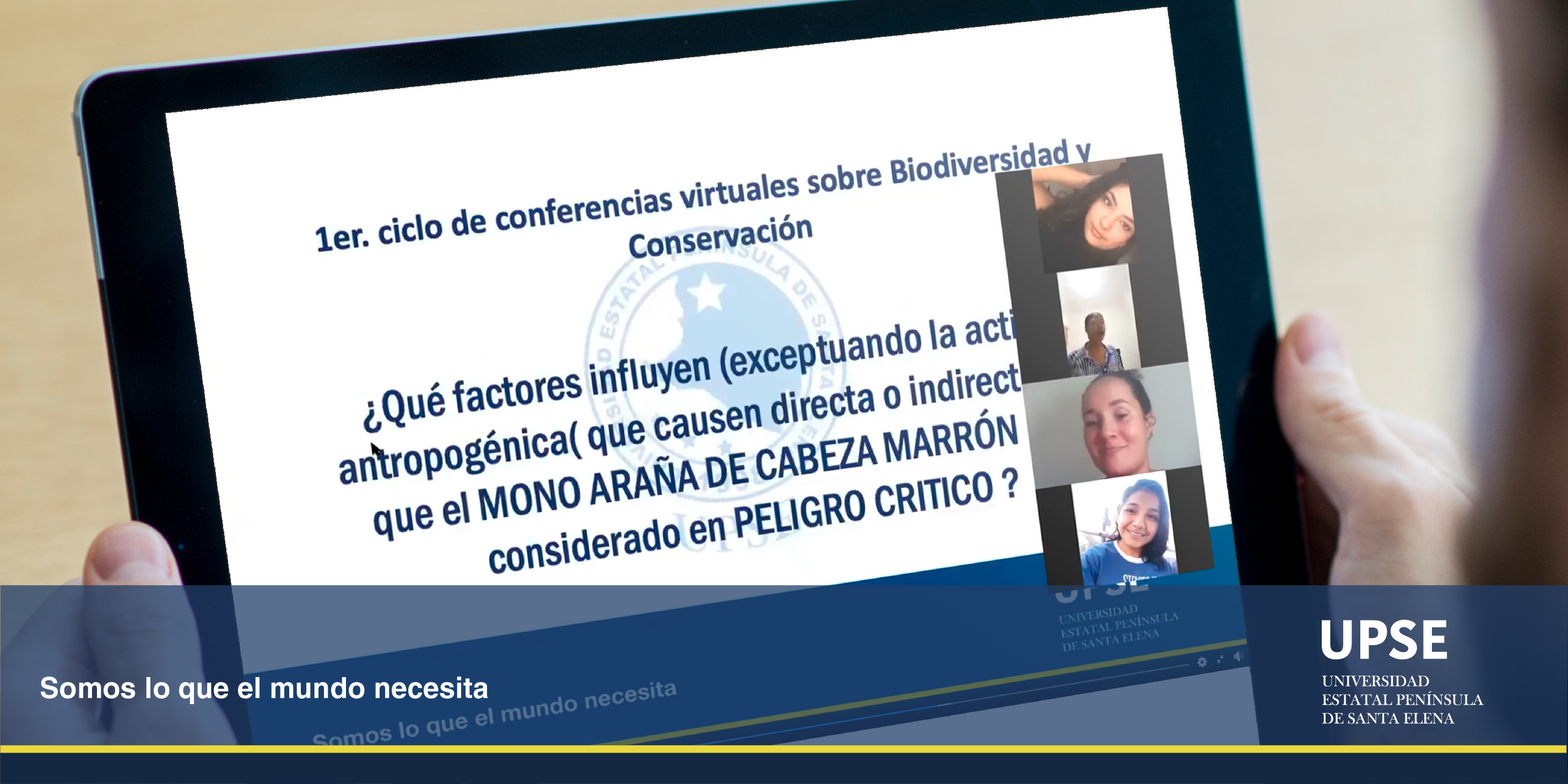 ciclo 01 TWITTER