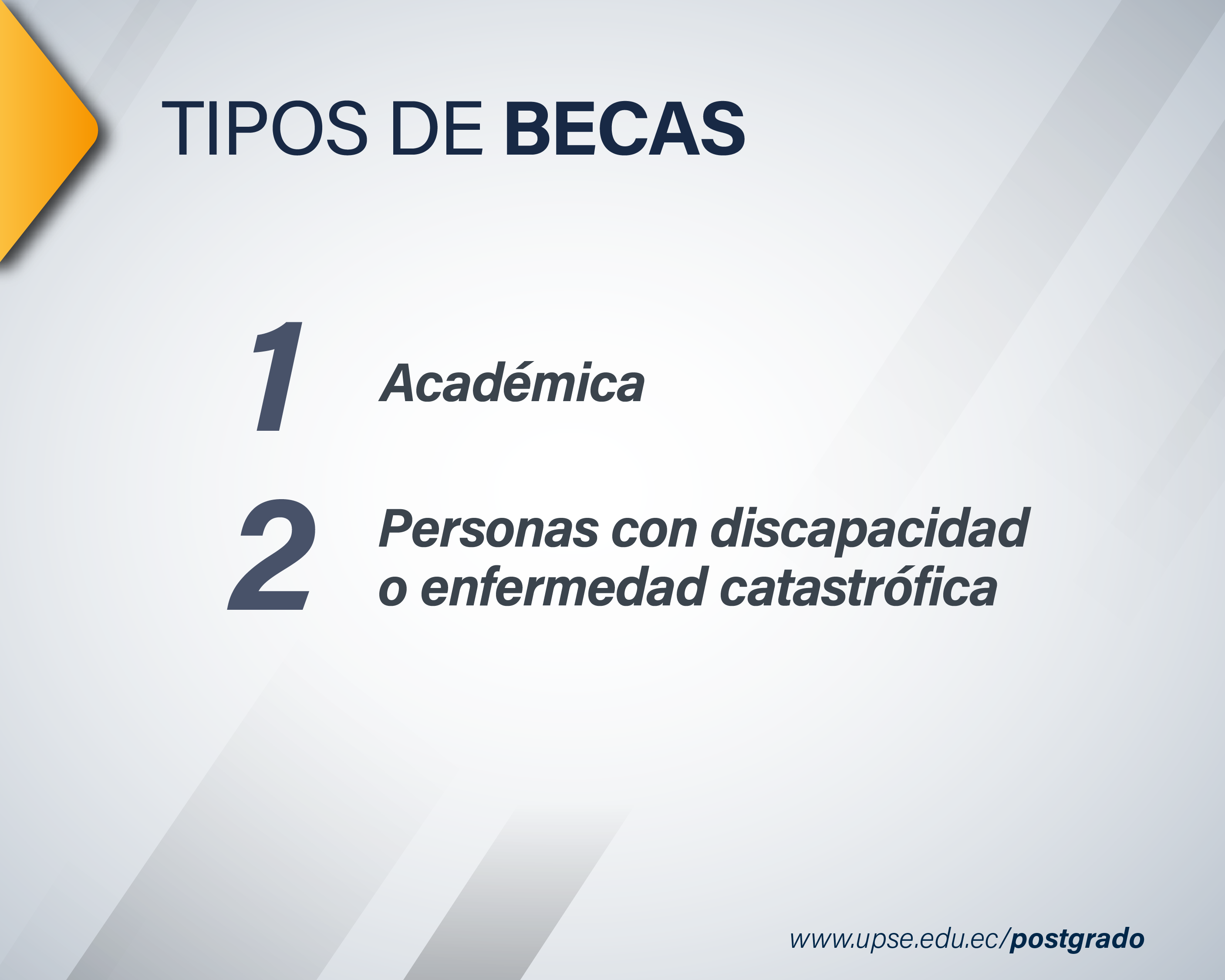 Becas de Postgrado 2025 1 Tipos de Becas