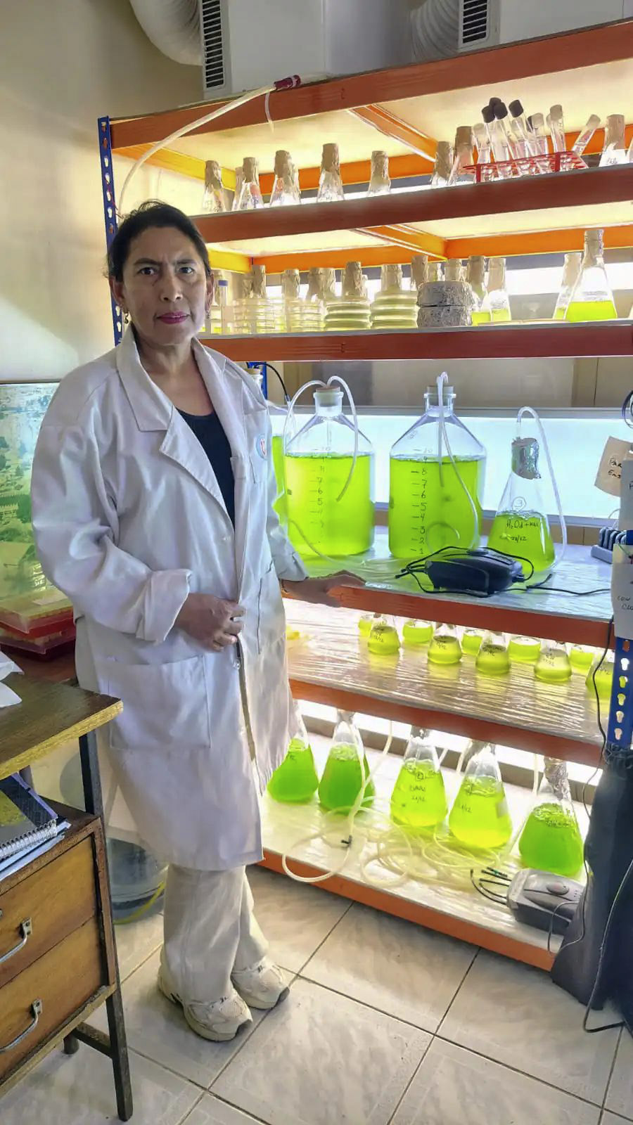 WhatsApp Image 2025 12 30 at 3