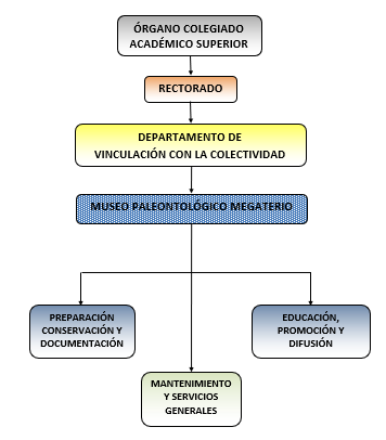 organigramamuseo